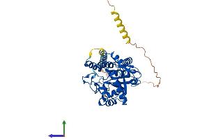 AlphaFold protein structure predicition of Human Recombinant ST8SIA6 Protein, UniprotID P61647