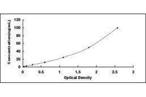 Typical standard curve