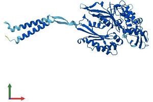 AlphaFold protein structure predicition of Human Recombinant ENTPD8 Protein, UniprotID Q5MY95