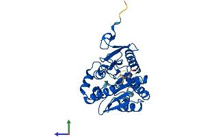 AlphaFold protein structure predicition of Human Recombinant MGLL Protein, UniprotID Q99685