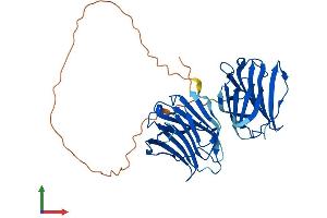AlphaFold protein structure predicition of Mouse Recombinant Lgals9 Protein, UniprotID O08573