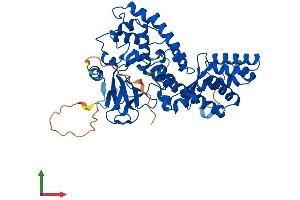 AlphaFold protein structure predicition of Human Recombinant SETD6 Protein, UniprotID Q8TBK2