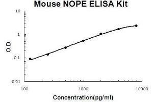 Mouse NOPE/IGDCC4 PicoKine ELISA Kit standard curve (IGDCC4 Kit ELISA)
