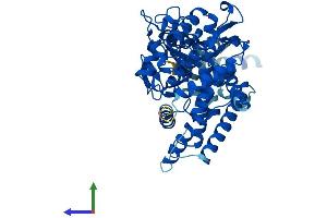 AlphaFold protein structure predicition of Human Recombinant CYP2C9 Protein, UniprotID P11712