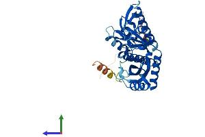 AlphaFold protein structure predicition of Mouse Recombinant Mrpl39 Protein, UniprotID Q9JKF7
