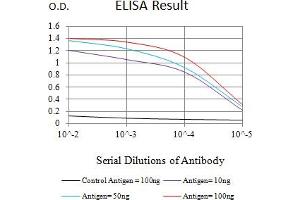 Black line: Control Antigen (100 ng),Purple line: Antigen (10 ng), Blue line: Antigen (50 ng), Red line:Antigen (100 ng) (WT1 anticorps  (AA 1-181))