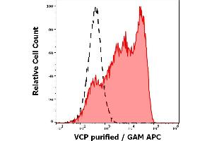 Separation of human sperm cells stained using anti-VCP (Hs-14) purified antibody (concentration in sample 9 μg/mL, GAM APC, red-filled) from human sperm cells unstained by primary antibody (GAM APC, black-dashed) in flow cytometry analysis (intracellular staining).