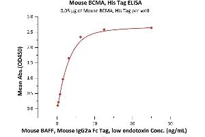 Immobilized Mouse BCMA, His Tag (ABIN5954937,ABIN6559942) at 0.