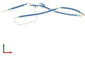 AlphaFold protein structure predicition of Human Recombinant TNIP2 Protein, UniprotID Q8NFZ5