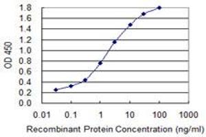 Detection limit for recombinant GST tagged ALAS1 is 0. (ALAS1 anticorps  (AA 1-98))