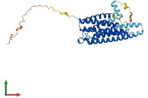AlphaFold protein structure predicition of Human Recombinant GPR12 Protein, UniprotID P47775