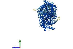 AlphaFold protein structure predicition of Mouse Recombinant Hk2 Protein, UniprotID O08528