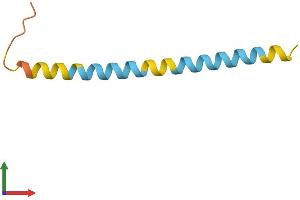 AlphaFold protein structure predicition of Mouse Recombinant Phxr2 Protein, UniprotID P15972