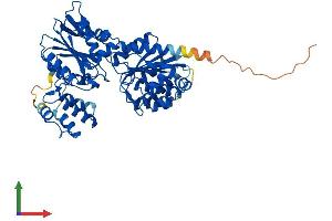 AlphaFold protein structure predicition of Human Recombinant GLYCTK Protein, UniprotID Q8IVS8