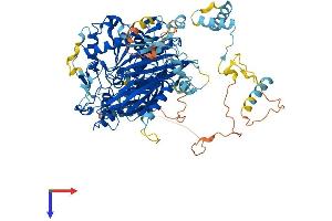 AlphaFold protein structure predicition of Mouse Recombinant Fig4 Protein, UniprotID Q91WF7