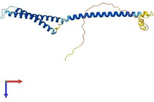 AlphaFold protein structure predicition of Mouse Recombinant Med22 Protein, UniprotID Q62276