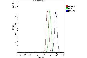 Flow Cytometry analysis of HepG2 cells using anti-BARD1 antibody (ABIN7602360).