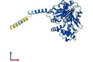 AlphaFold protein structure predicition of Human Recombinant ABHD3 Protein, UniprotID Q8WU67