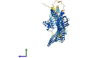 AlphaFold protein structure predicition of Human Recombinant ABCB6 Protein, UniprotID Q9NP58