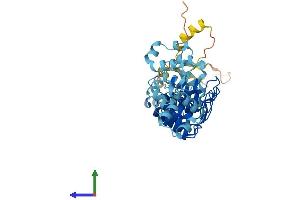 AlphaFold protein structure predicition of Mouse Recombinant Asb10 Protein, UniprotID Q91ZT7