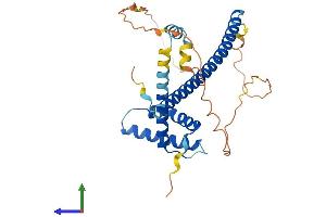AlphaFold protein structure predicition of Mouse Recombinant Fsbp Protein, UniprotID Q8BKE5