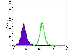 Flow cytometric analysis of Jurkat cells using ATXN1 mouse mAb (green) and negative control (purple).