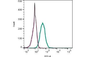 Cell surface detection of L1CAM by indirect flow cytometry in live intact human  monocytic leukemia cell line: + goat-anti-rabbit-FITC. (L1CAM anticorps  (Extracellular))