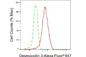 Flow cytometric analysis of Desmocollin 3 expression in HeLa cells using Desmocollin 3 antibody (ABIN7798316), 1:2,000).