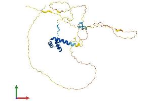 AlphaFold protein structure predicition of Human Recombinant DBX1 Protein, UniprotID A6NMT0