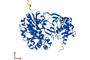 AlphaFold protein structure predicition of Human Recombinant XYLB Protein, UniprotID O75191