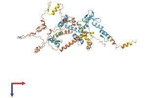 AlphaFold protein structure predicition of Human Recombinant ZNF285 Protein, UniprotID Q96NJ3