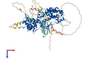 AlphaFold protein structure predicition of Mouse Recombinant Rgl3 Protein, UniprotID Q3UYI5