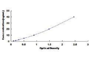 Protease, serine, 1 (Trypsin 1) (PRSS1) ELISA Kit