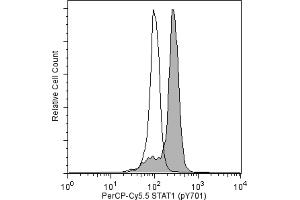 Flow Cytometry (FACS) image for anti-Signal Transducer and Activator of Transcription 1, 91kDa (STAT1) (pTyr701) antibody (PerCP-Cy5.5) (ABIN1177183)