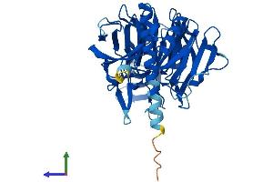 AlphaFold protein structure predicition of Mouse Recombinant Klhdc1 Protein, UniprotID Q80YG3