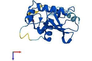 AlphaFold protein structure predicition of Human Recombinant UBE2QL1 Protein, UniprotID A1L167