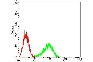 anti-neonatal Fc Receptor (FcRn) (AA 24-297) antibody