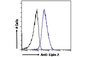 ABIN185361 Flow cytometric analysis of paraformaldehyde fixed A431 cells (blue line), permeabilized with 0. (Lipin 2 anticorps  (C-Term))