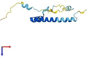 AlphaFold protein structure predicition of Mouse Recombinant Lin52 Protein, UniprotID Q8CD94