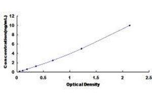 S100 Calcium Binding Protein A6 (S100A6) ELISA Kit
