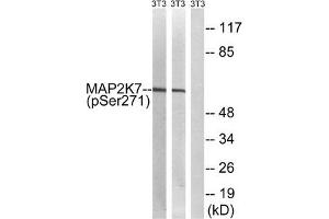 Western blot analysis of extracts from 3T3 cells treated with insulin using MAP2K7 (Phospho-Ser271) Antibody. (MAP2K7 anticorps  (pSer271))