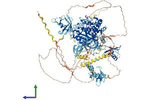 AlphaFold protein structure predicition of Human Recombinant VCPIP1 Protein, UniprotID Q96JH7