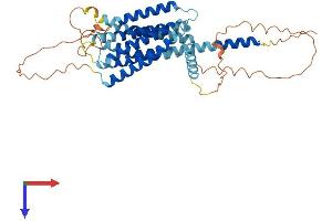 AlphaFold protein structure predicition of Mouse Recombinant Gpr22 Protein, UniprotID Q8BZL4