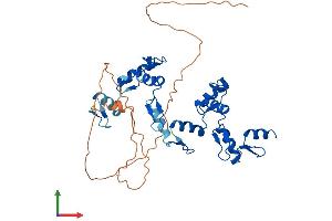 AlphaFold protein structure predicition of Human Recombinant ZNF121 Protein, UniprotID P58317