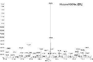Mass Spectrometry (MS) image for Histone H3 (H3) (H3K14ac) protein (ABIN2669542)