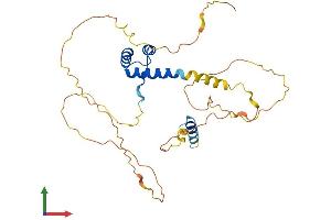 AlphaFold protein structure predicition of Human Recombinant ALX1 Protein, UniprotID Q15699