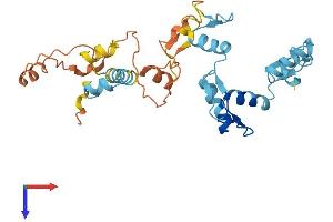 AlphaFold protein structure predicition of Human Recombinant ZNF705A Protein, UniprotID Q6ZN79