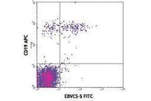 Flow Cytometry (FACS) image for anti-Fc Fragment of IgE, Low Affinity II, Receptor For (CD23) (FCER2) antibody (FITC) (ABIN2661598) (FCER2 anticorps  (FITC))