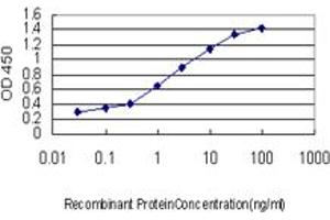 Detection limit for recombinant GST tagged REV1L is approximately 0.