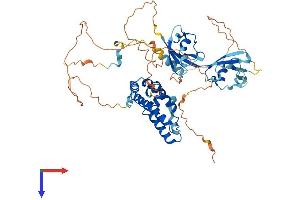 AlphaFold protein structure predicition of Mouse Recombinant Rgs14 Protein, UniprotID P97492